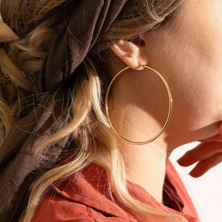 Large Thin Hoops model