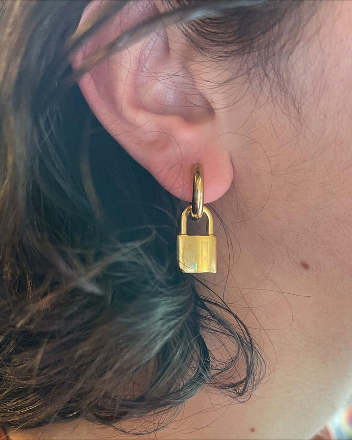 Padlock Hoops model
