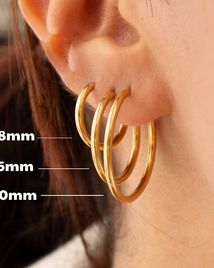 Hoops Earrings model