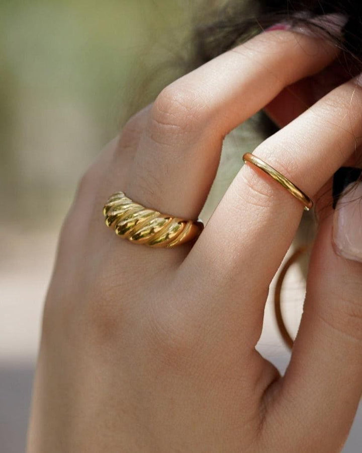 Croissant Ring model
