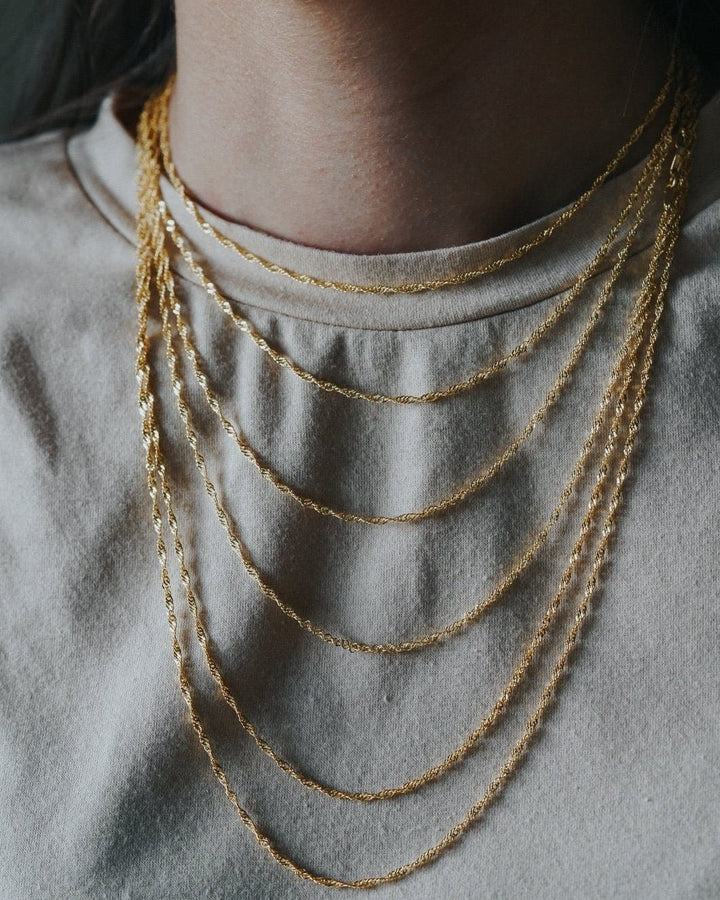 Twist Chain Necklace model