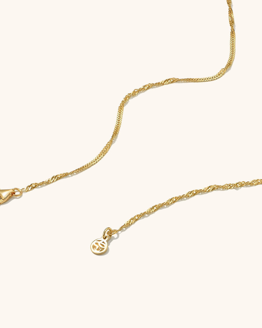 Twist Chain Necklace