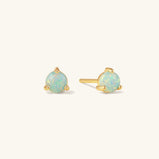 Stud Earrings